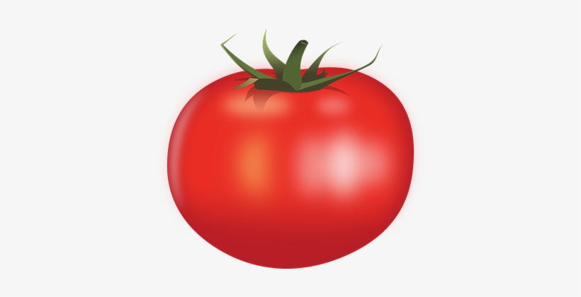 tomatoes clipart transparent background