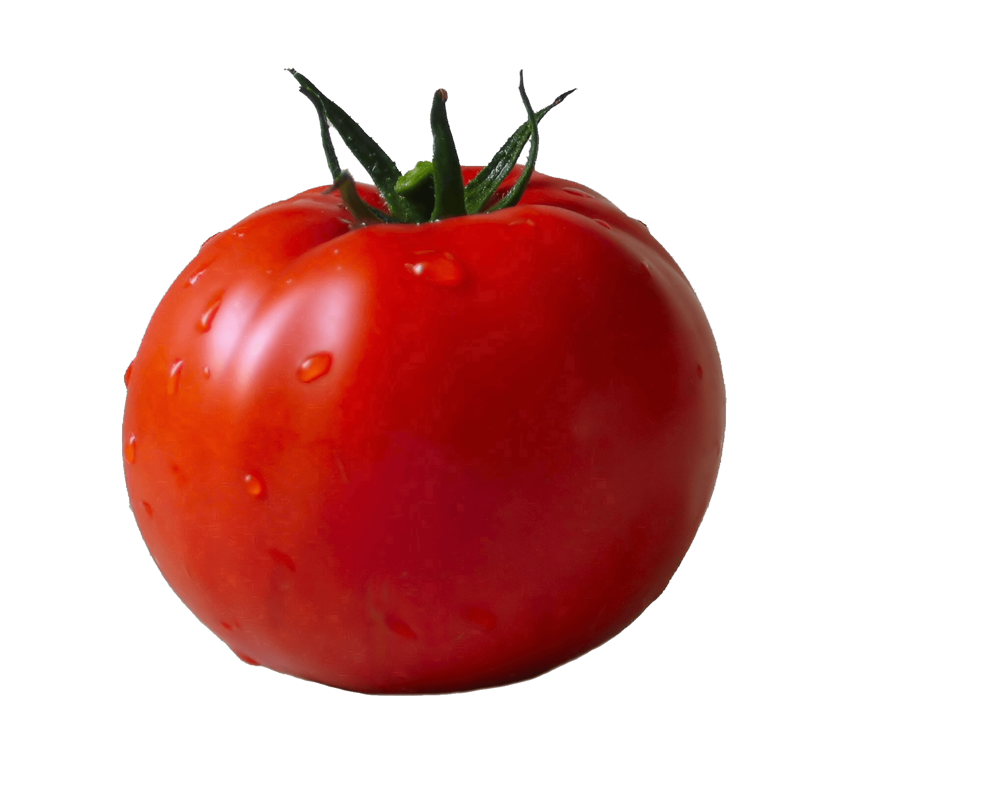 vegetables clipart tomato