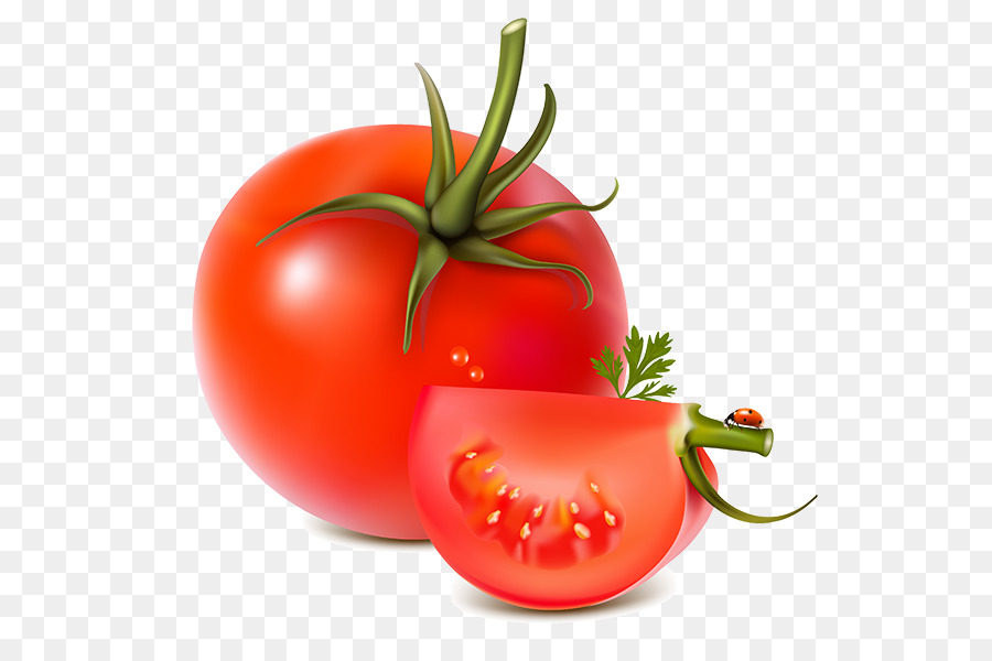 tomatoes clipart transparent background