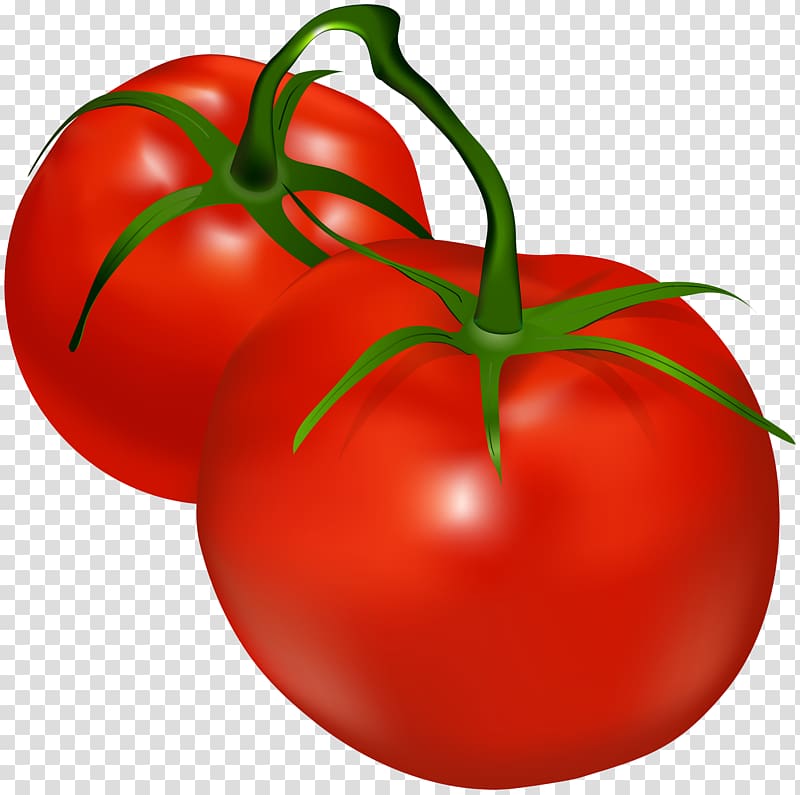 tomatoes clipart two