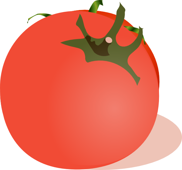 Tomato clip art at. Tomatoes clipart vector