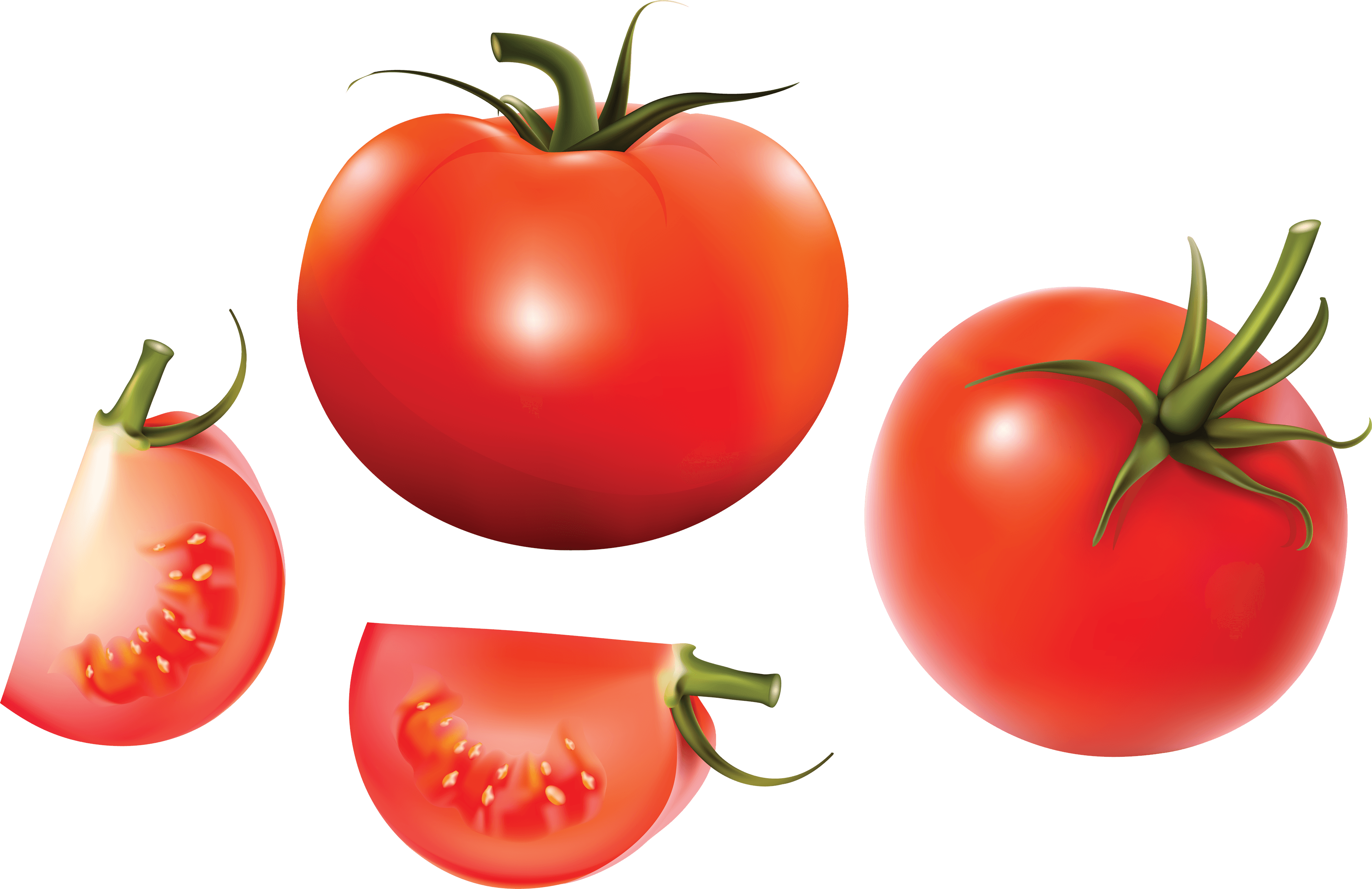 Tomato splattered frames illustrations. Tomatoes clipart vector