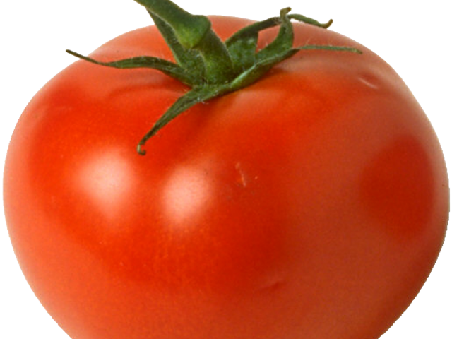 Tomatoes clipart vector. Tomato bob free on