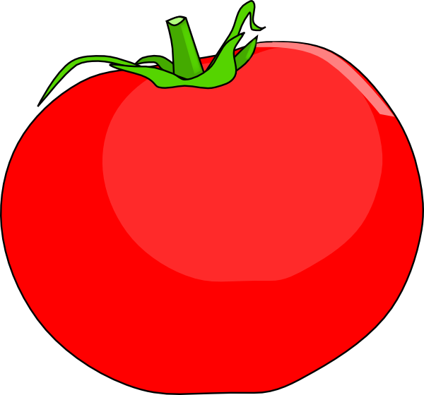 Tomato clip art at. Tomatoes clipart vector