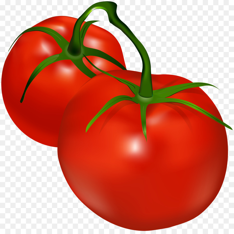 tomatoes clipart vegetable