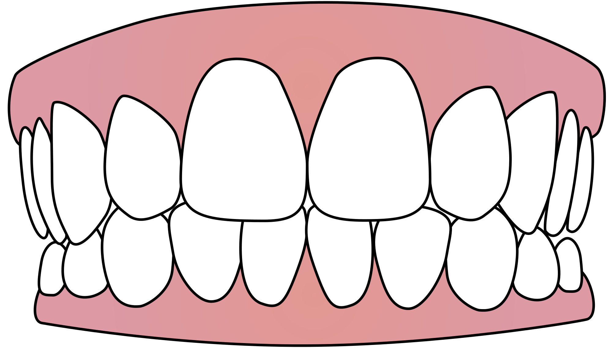 tooth clipart false tooth