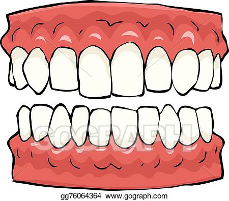 tooth clipart false tooth