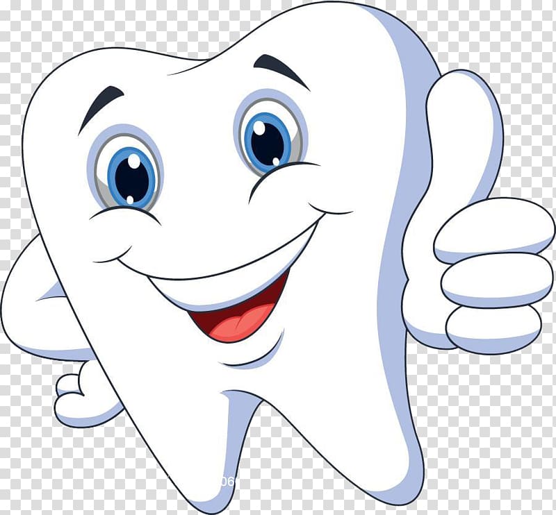 tooth clipart human tooth