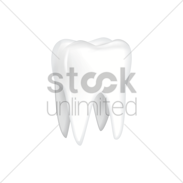 tooth clipart molar