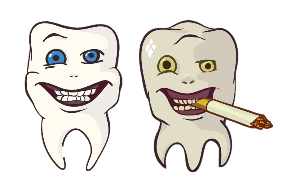 tooth clipart oral health