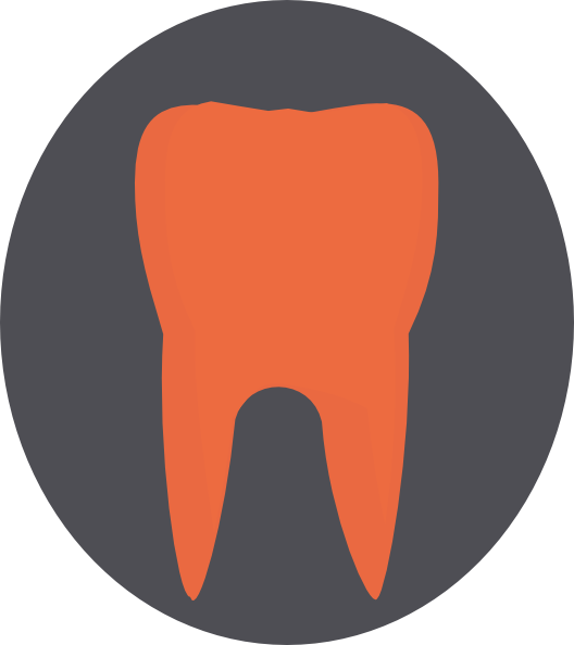 tooth clipart vector