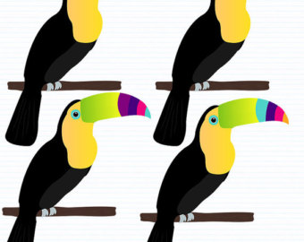Toucan clipart. Etsy instant download scrapbook