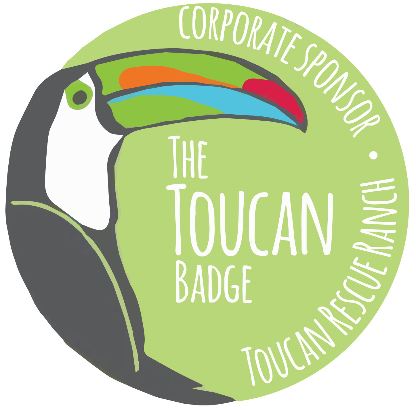 toucan clipart animal amazon rainforest