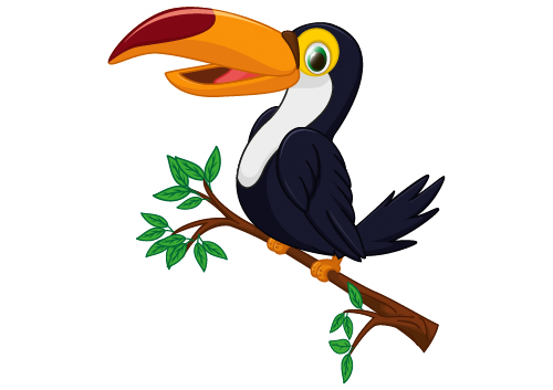 toucan clipart animated