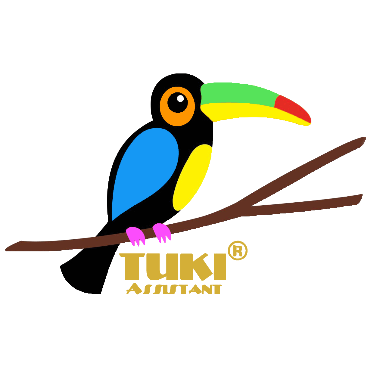 Toucan clipart bird brazil. Tuki s questions al