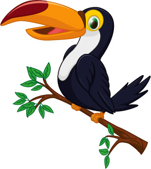 Free download best . Toucan clipart bird brazil