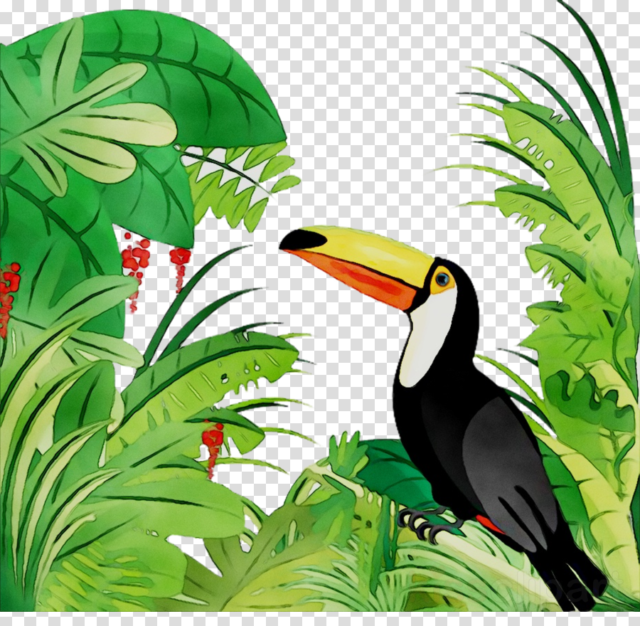 Plant transparent png image. Toucan clipart bird jungle