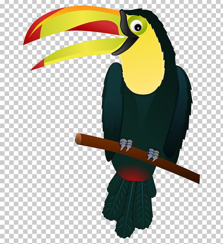 Png animal beak cartoon. Toucan clipart bird open wing