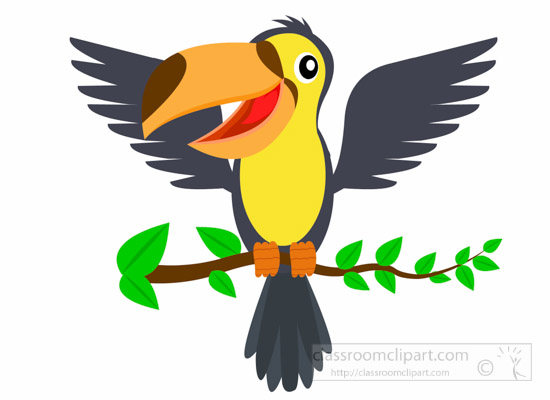 toucan clipart bird open wing