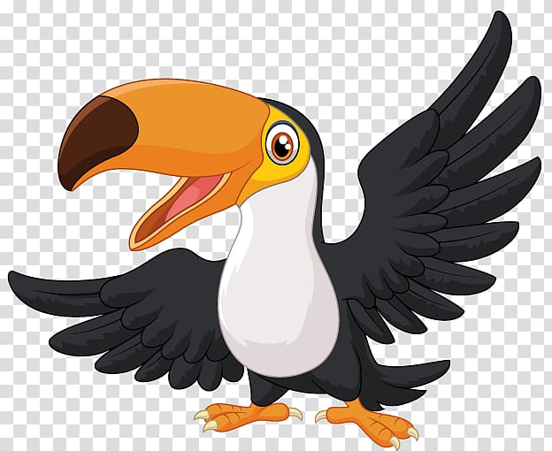 Others transparent background png. Toucan clipart eagle