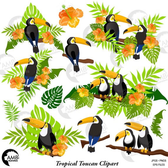 Tropical floral summer amb. Toucan clipart exotic animal
