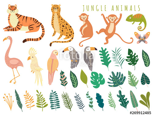 Toucan clipart exotic animal. Jungle wild and bird