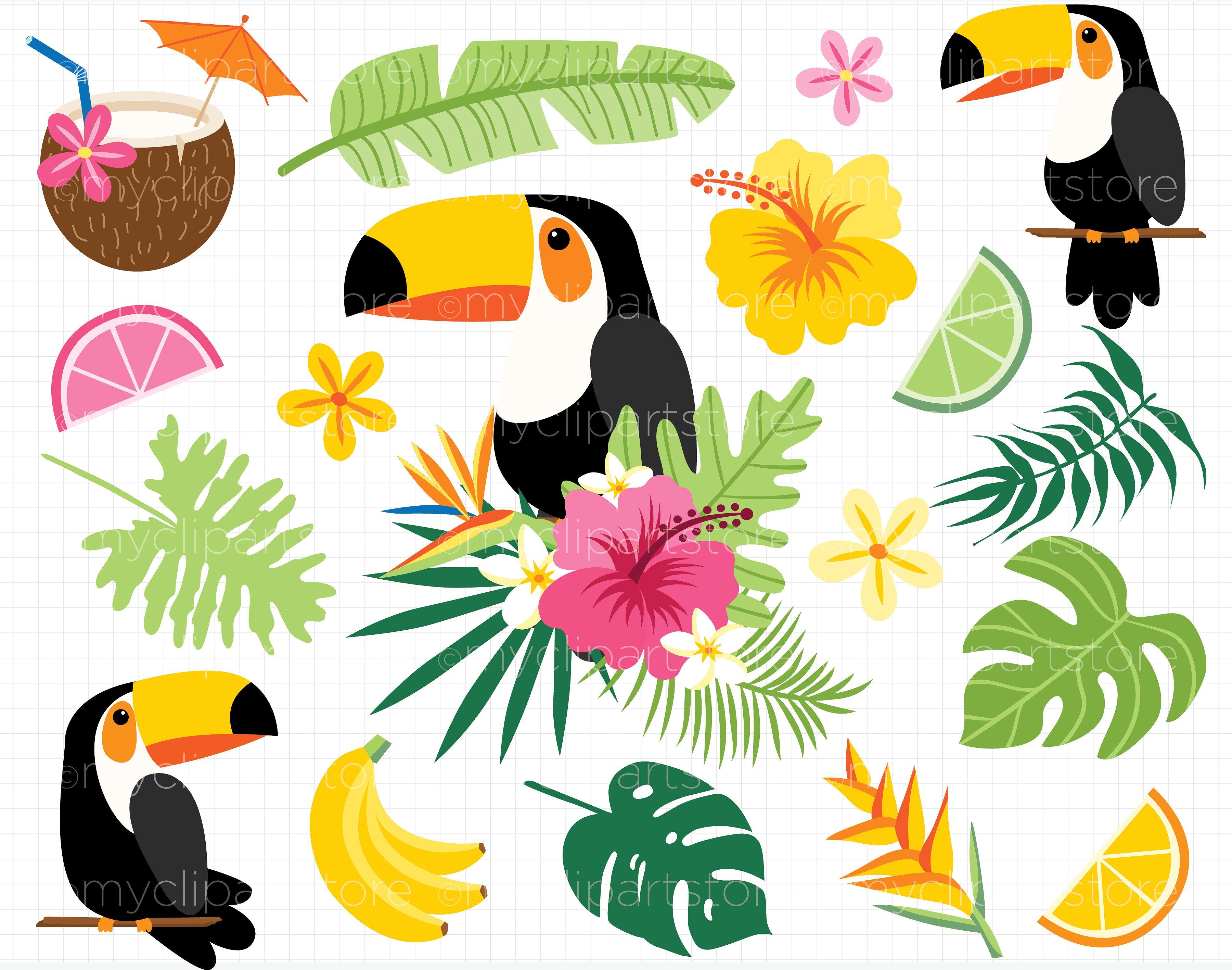 Toucan clipart exotic bird. Tropical toucans svg colors