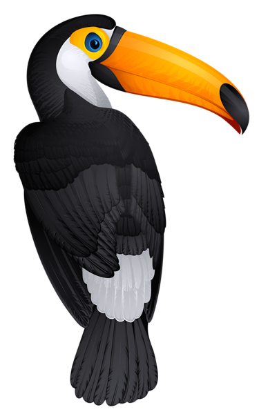 Pin by lois ericsson. Toucan clipart exotic bird