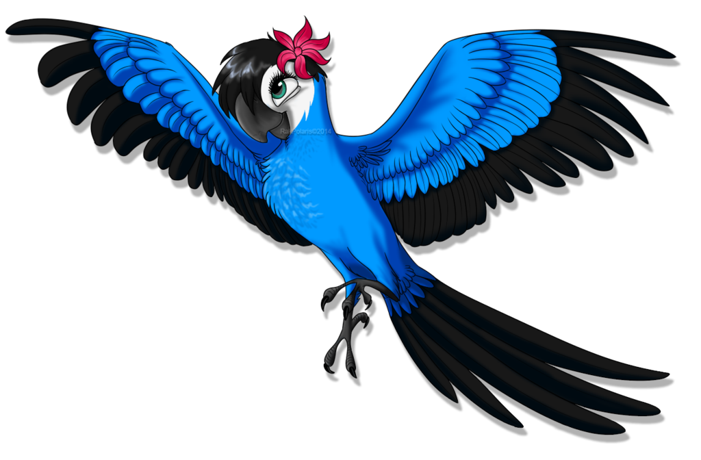 toucan clipart macaw
