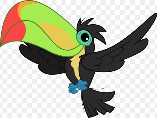 toucan clipart rainforest insect