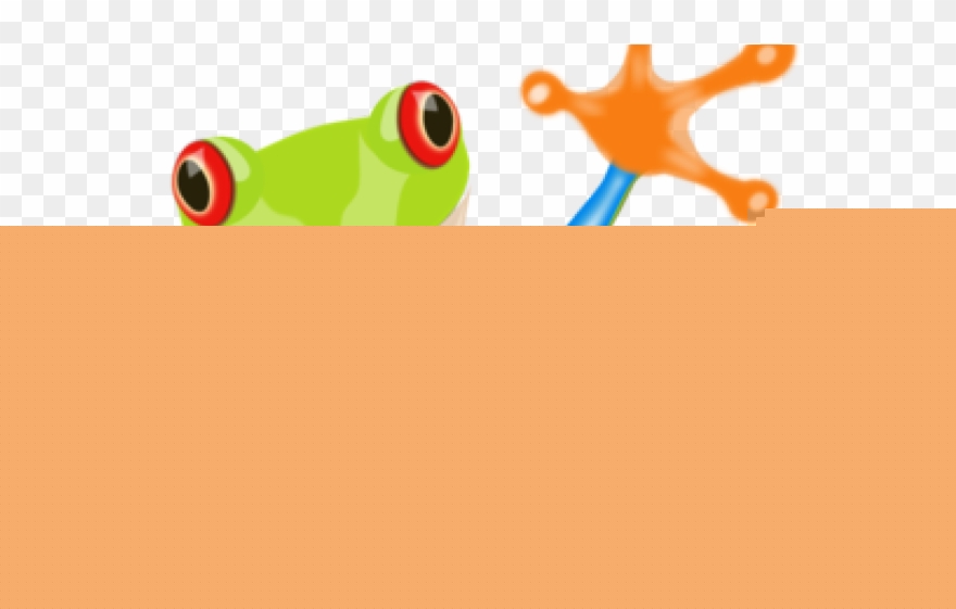 Clip art frog . Toucan clipart rainforest monkey