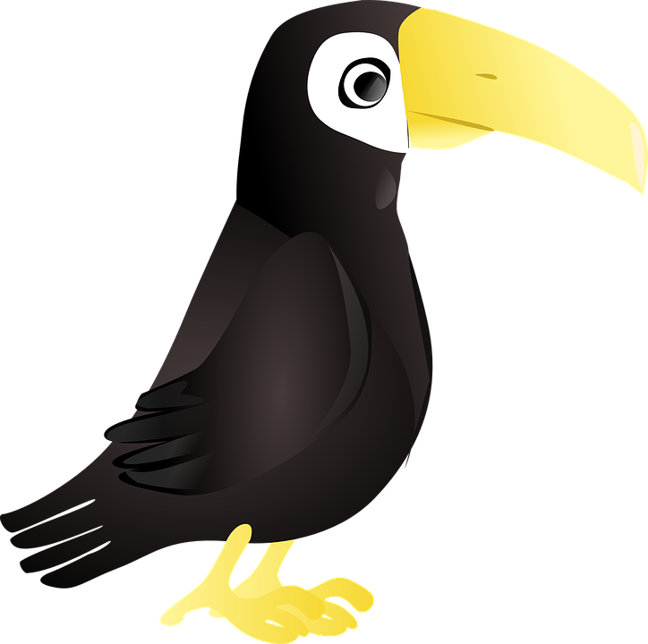 Toucan clipart rainforest monkey. Free on dumielauxepices net