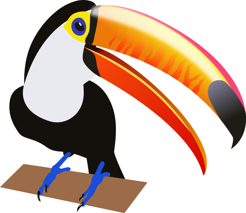 toucan clipart safari bird