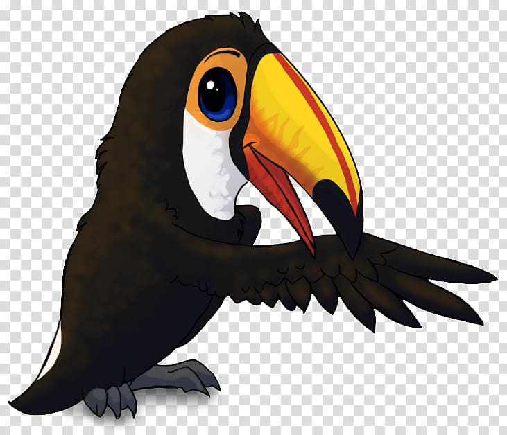 toucan clipart toco toucan