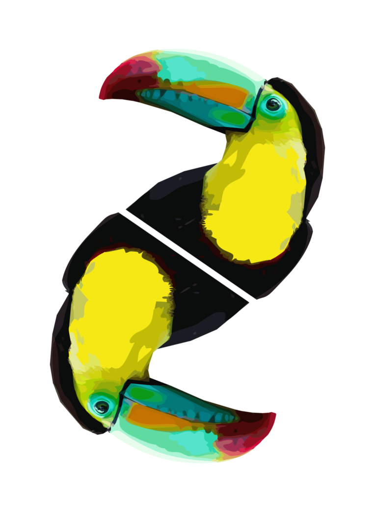 toucan clipart vector