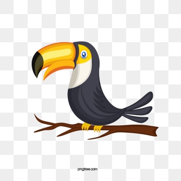 Toucan clipart vector. Png psd and with