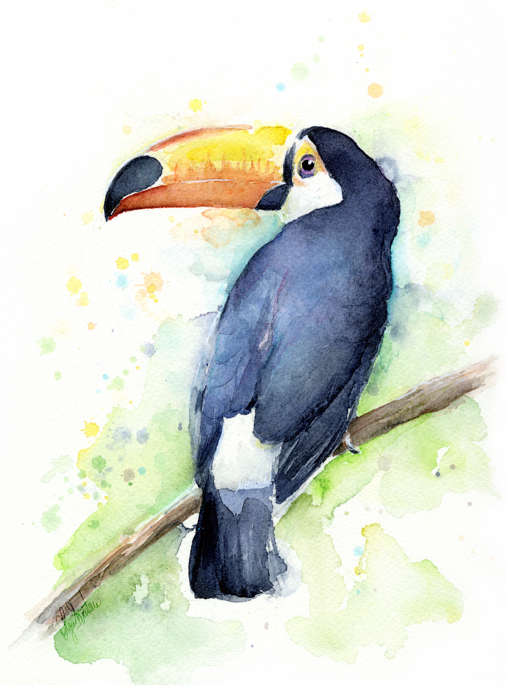 toucan clipart watercolor