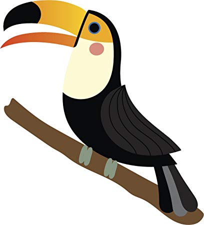 toucan clipart zoo