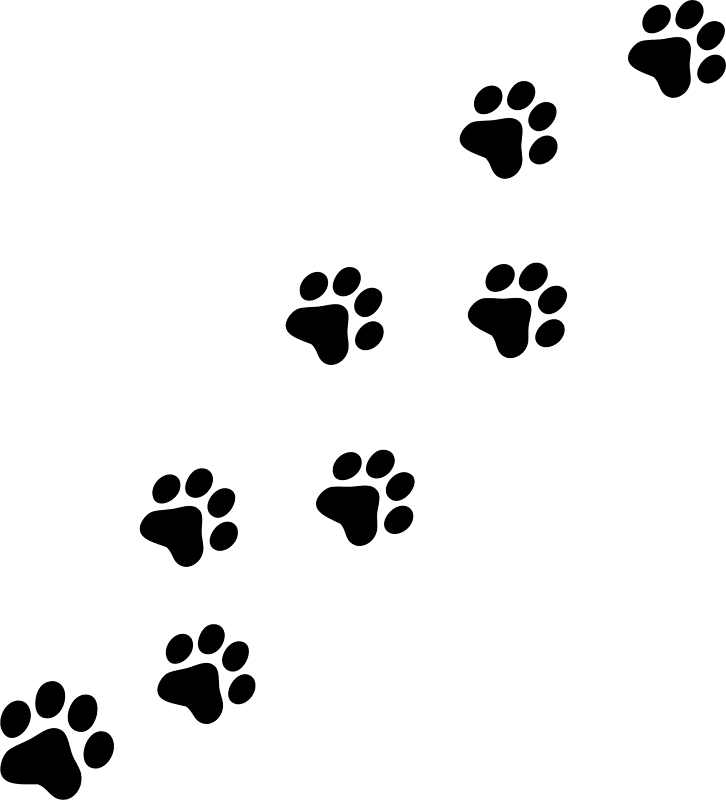 track clipart paw print