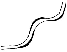 track clipart snake
