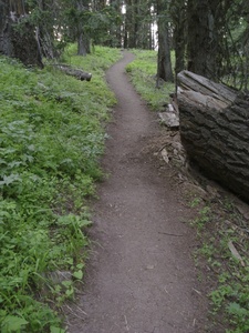 trail clipart footpath
