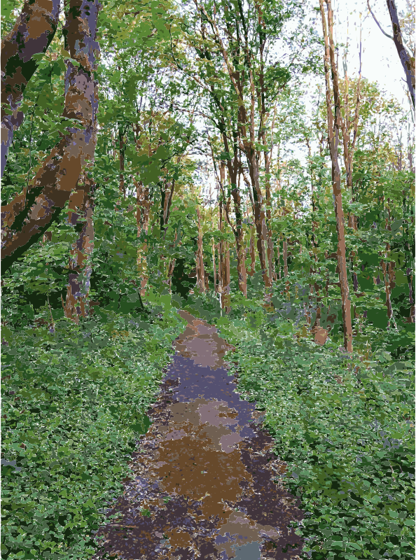 Lichtscheid again medium image. Trail clipart forest trail