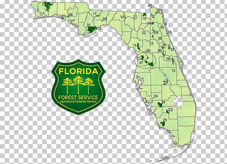 Trail clipart green forest. Florida national scenic united