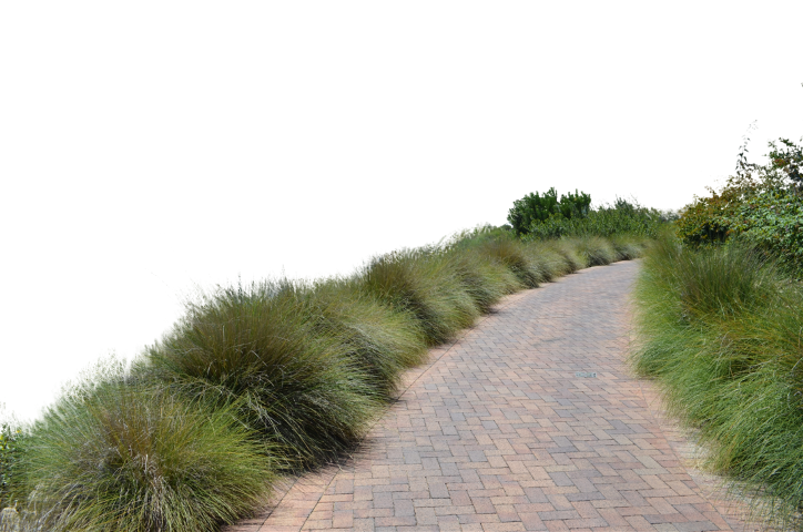 Trail Clipart Walkway Trail Walkway Transparent Free For Download On