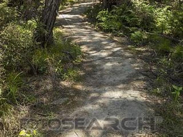 trail clipart walkway