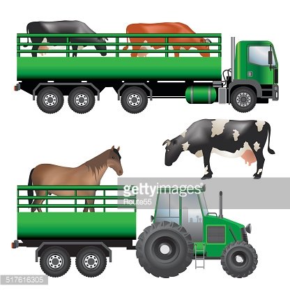transportation clipart animal