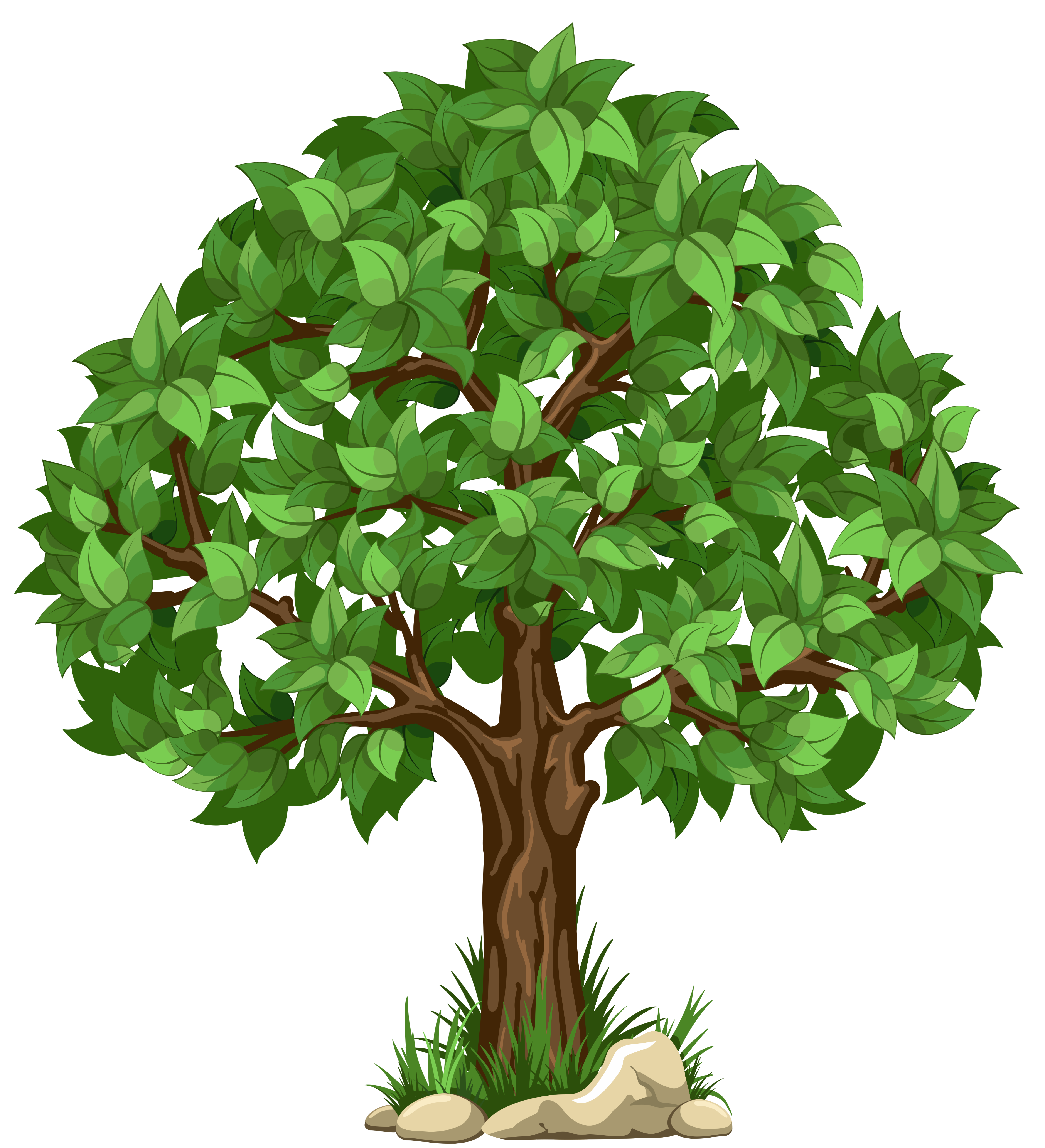 tree clipart clear background