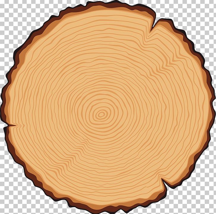 tree clipart cross section