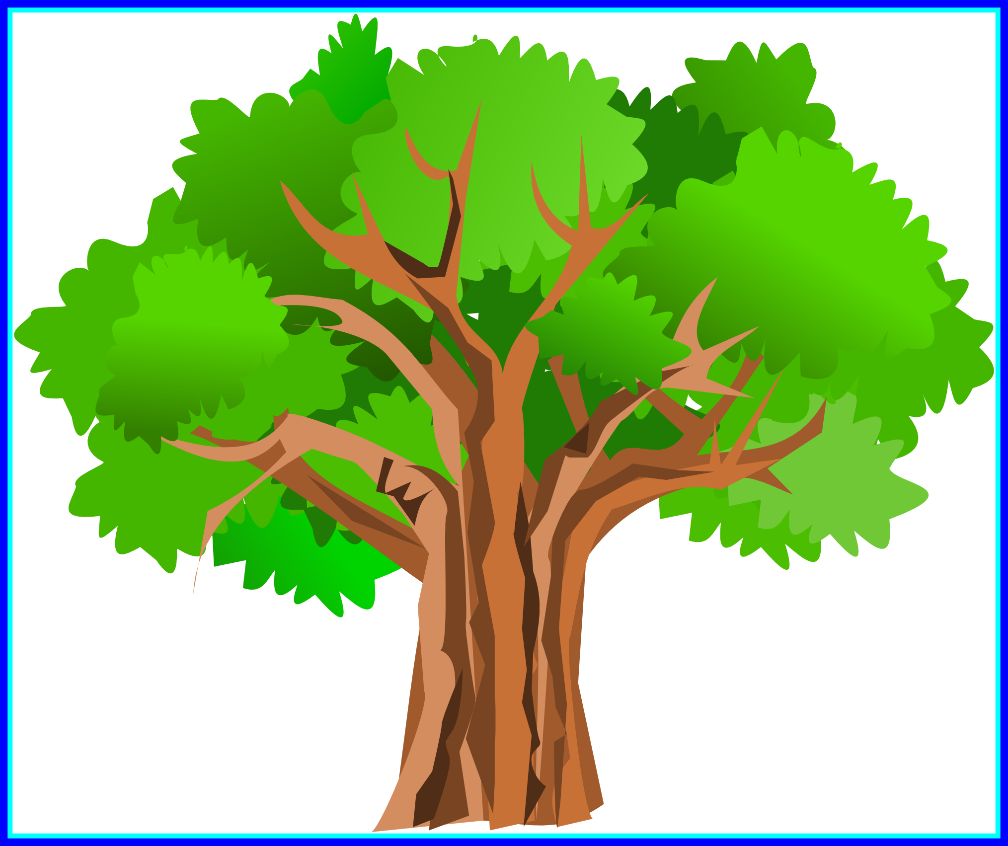 tree clipart water