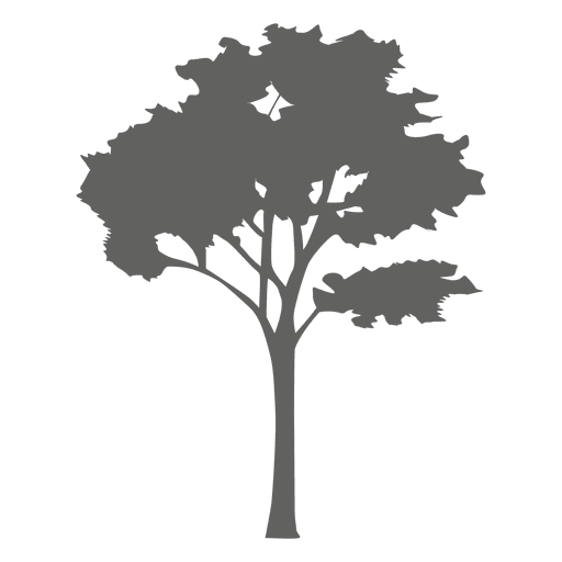 Tree silhouette vector png. Maple transparent svg